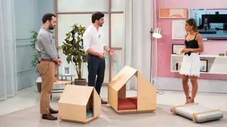 Com a Manimal já pode conjugar a caminha do cão com o resto da sala!