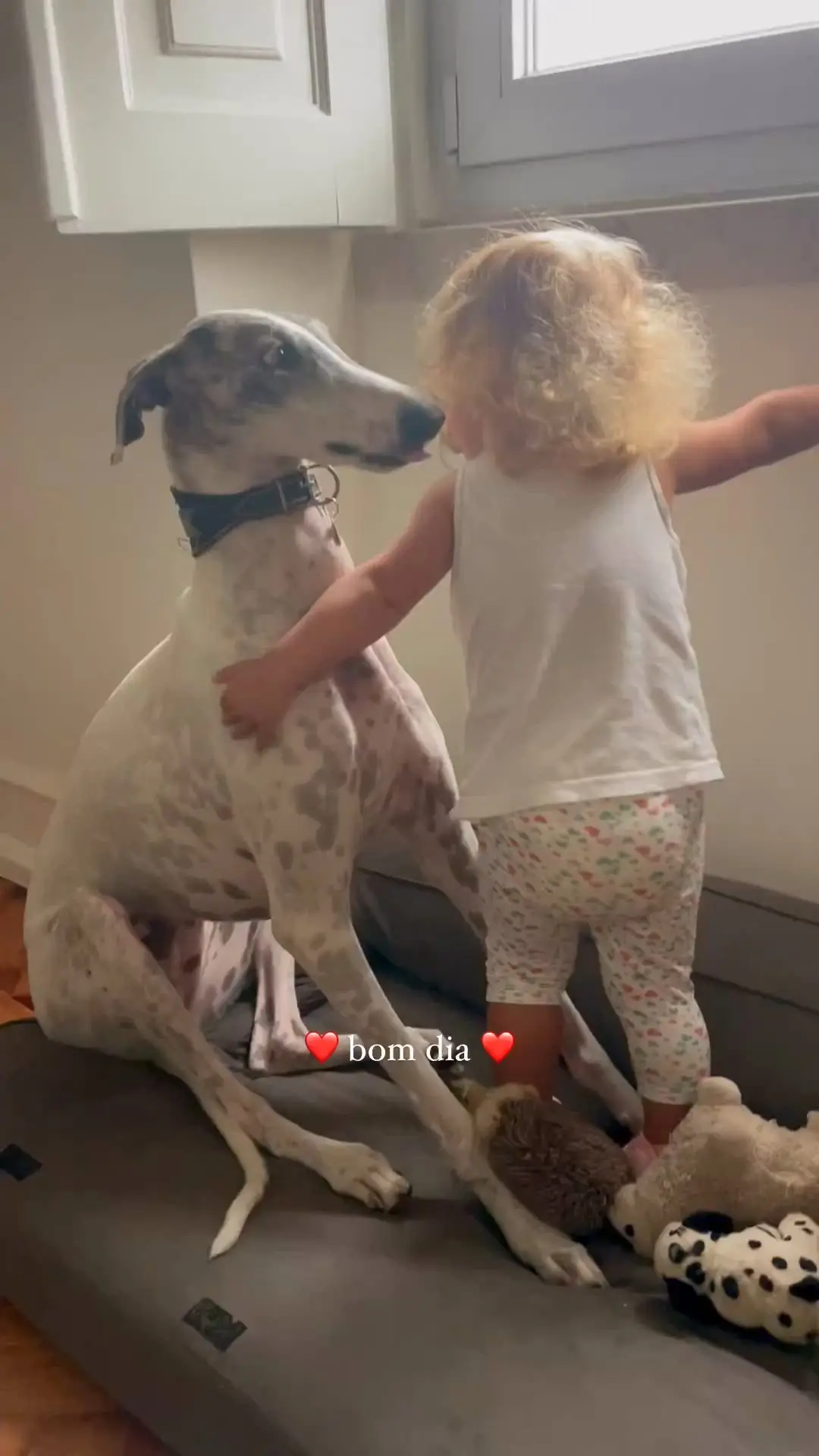 Muitos beijinhos e abraços! O vídeo amoroso da filha de Rita Patrocínio e a cadela Kim