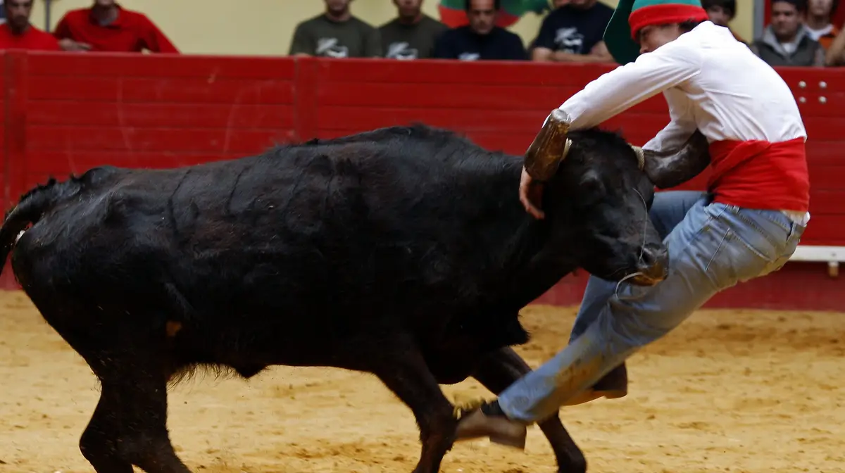 (arquivo)