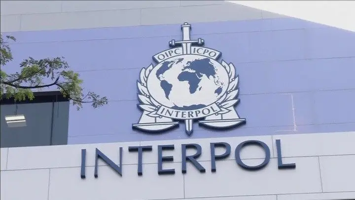 Interpol detém 94 pessoas em 72 países contra crimes informáticos - SIC ...