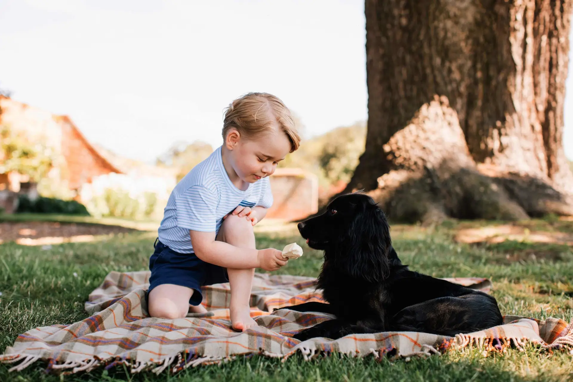 O príncipe George faz 3 anos... e tem fotos novas