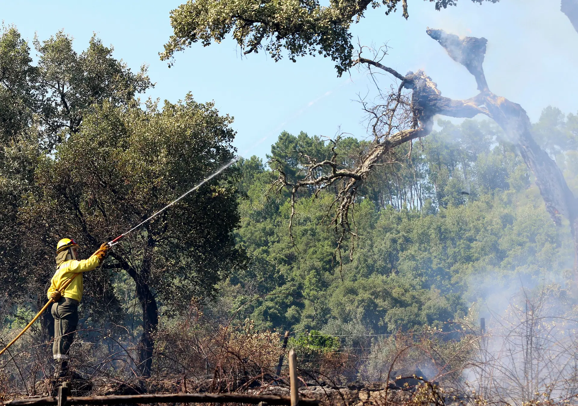 Mais de 2.500 fogos desde o início de julho