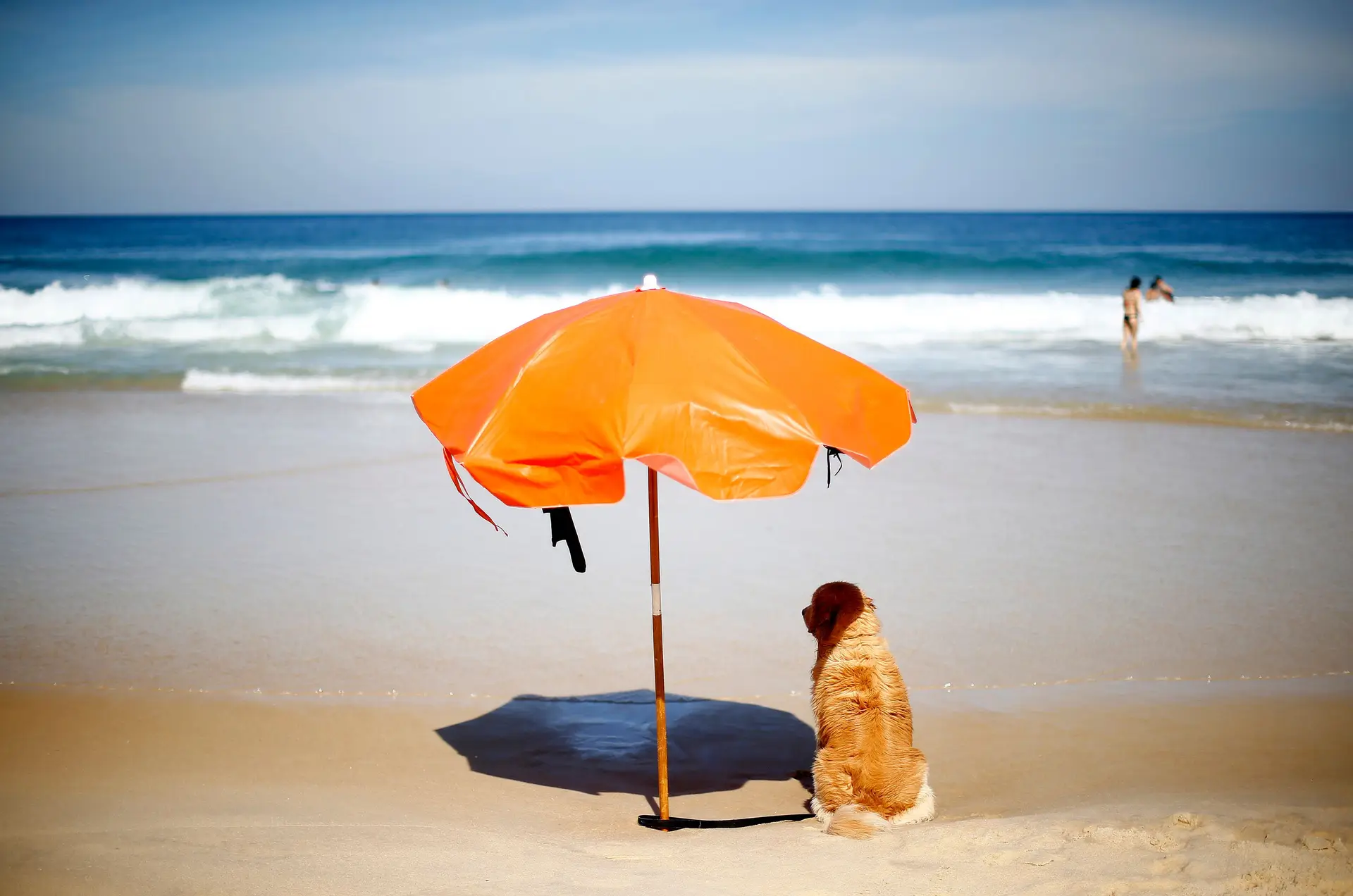 Semana com céu limpo e oscilações nas temperaturas máximas