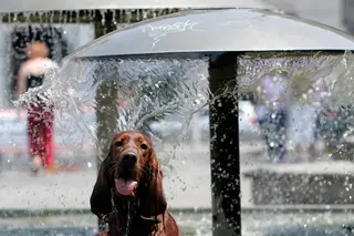 Quando o calor aperta