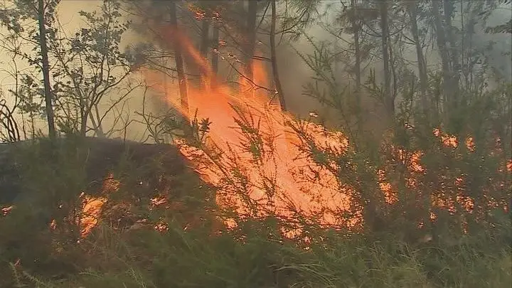 Vinte E Nove Concelhos De Sete Distritos Do País Em Risco Máximo De Incêndio Sic Notícias 0585