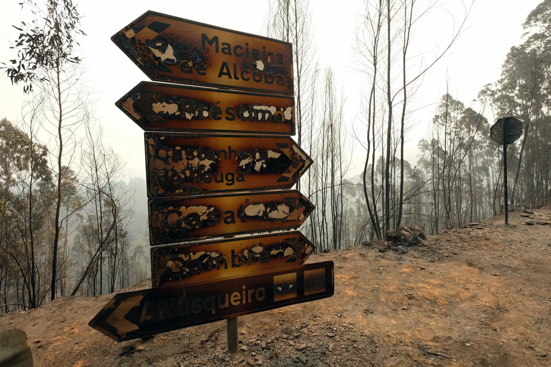 Consequências dos incêndios em Águeda