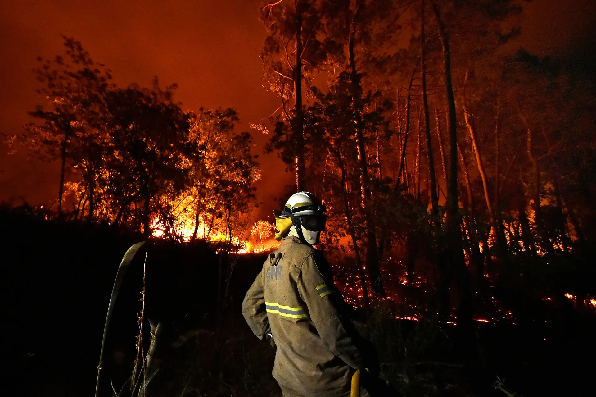 Ministra pondera agravamento de penas para incendiários