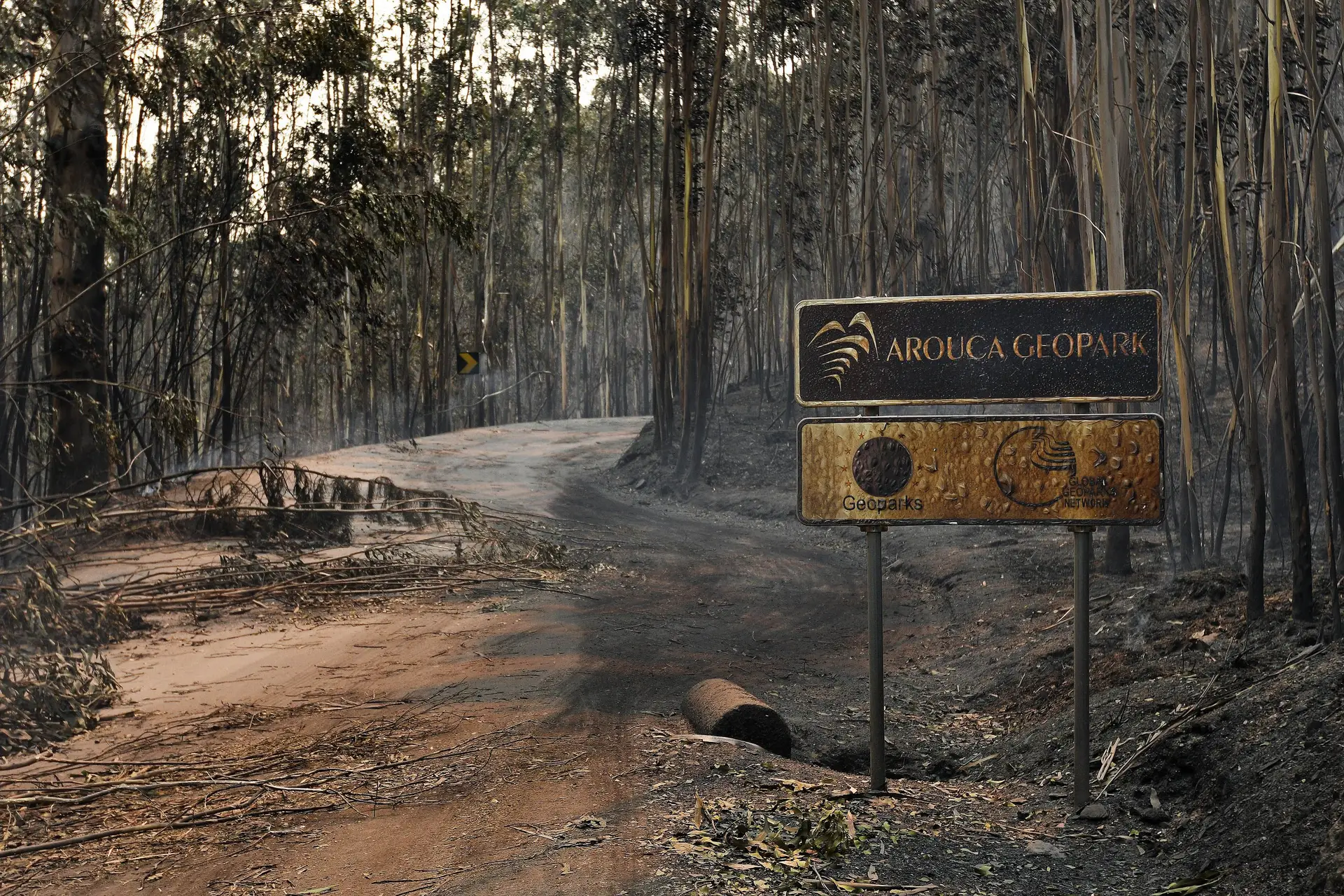 Aprovada alteração do Sistema Nacional de Defesa da Floresta contra Incêndios