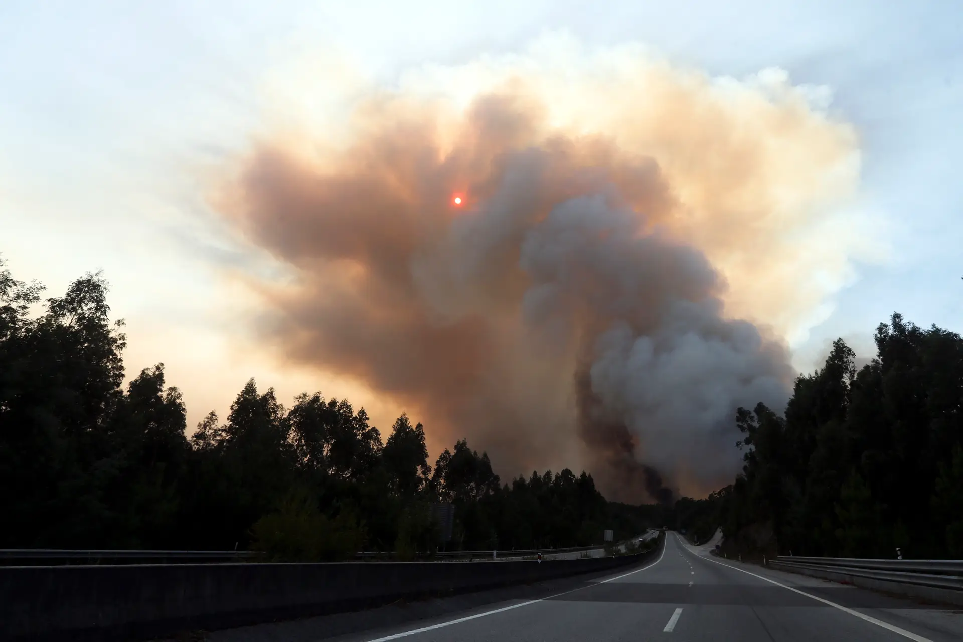 A25 cortada ao trânsito na zona de Sever do Vouga devido a incêndio