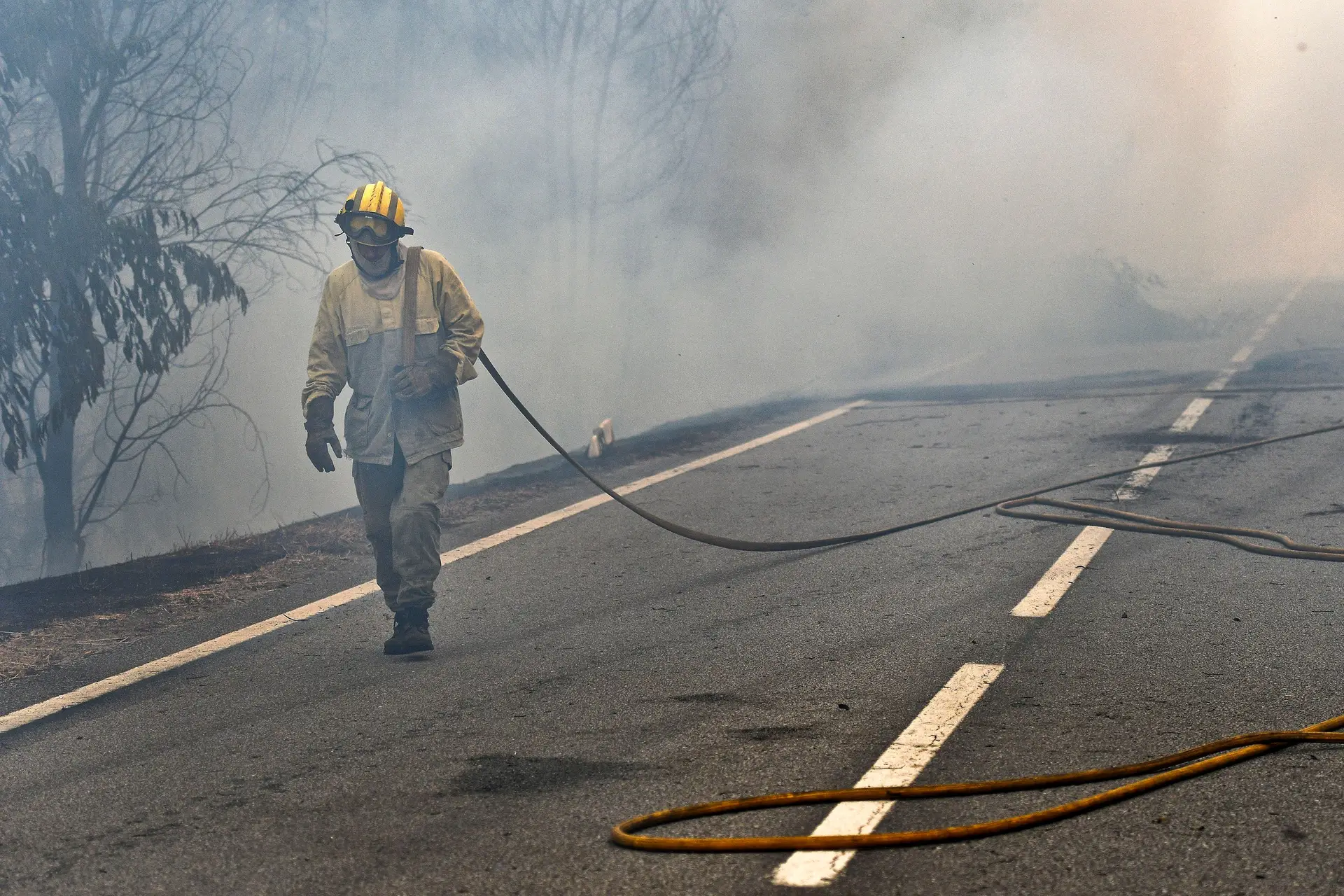 Detidos 4 suspeitos de atearem fogos em Mangualde, Guarda, Mealhada e Pinhel