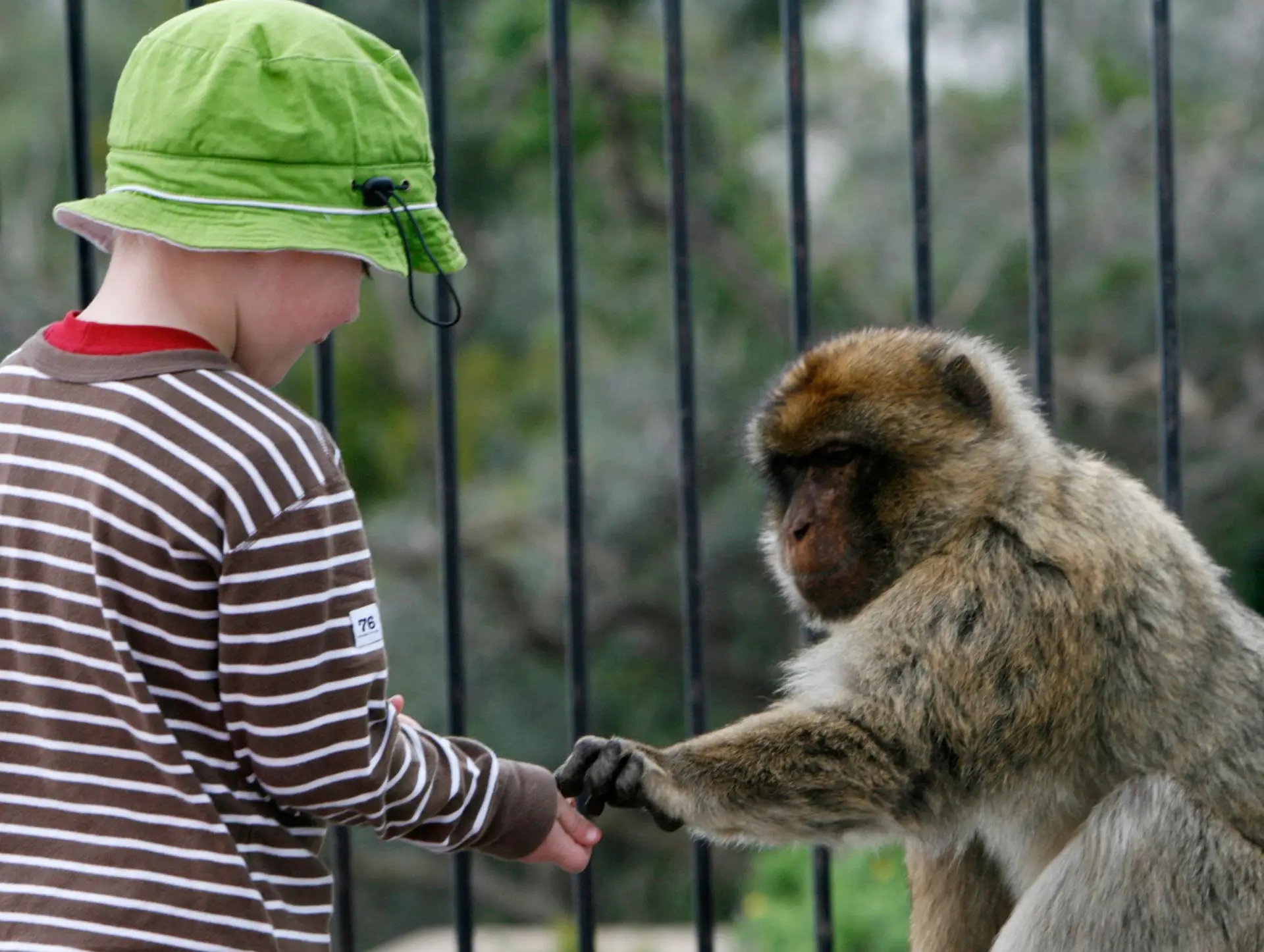 Uma em dez crianças tem defesas contra a sida