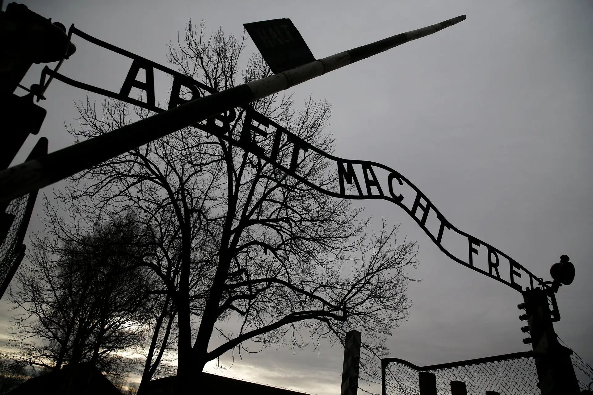 Grupo que se despiu e acorrentou em Auschwitz protestava contra guerras no mundo