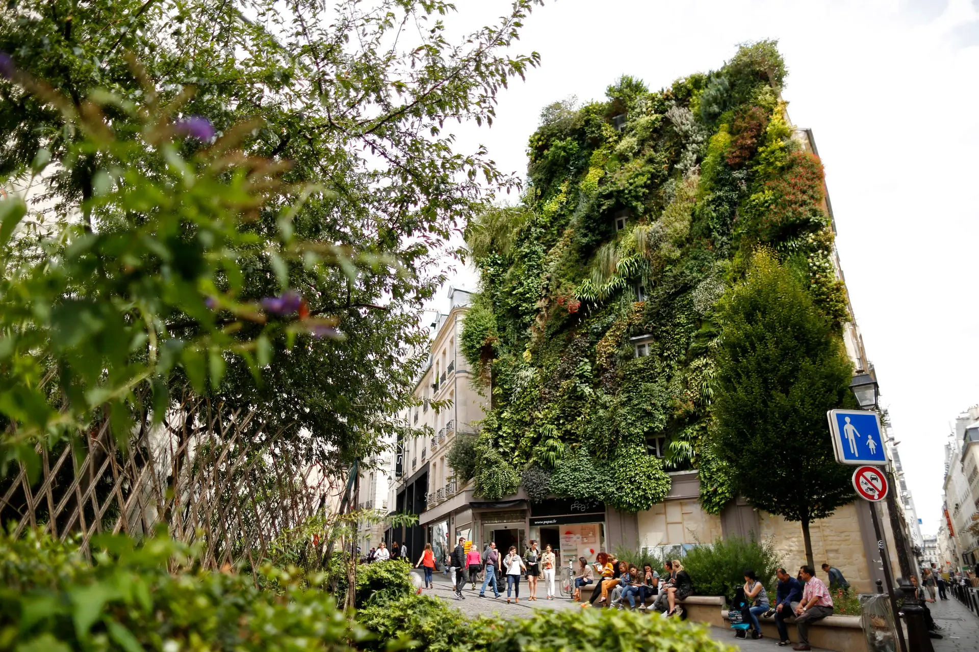 Quer trabalhores felizes, saudáveis e mais eficientes? Edifícios verdes podem ser a solução.