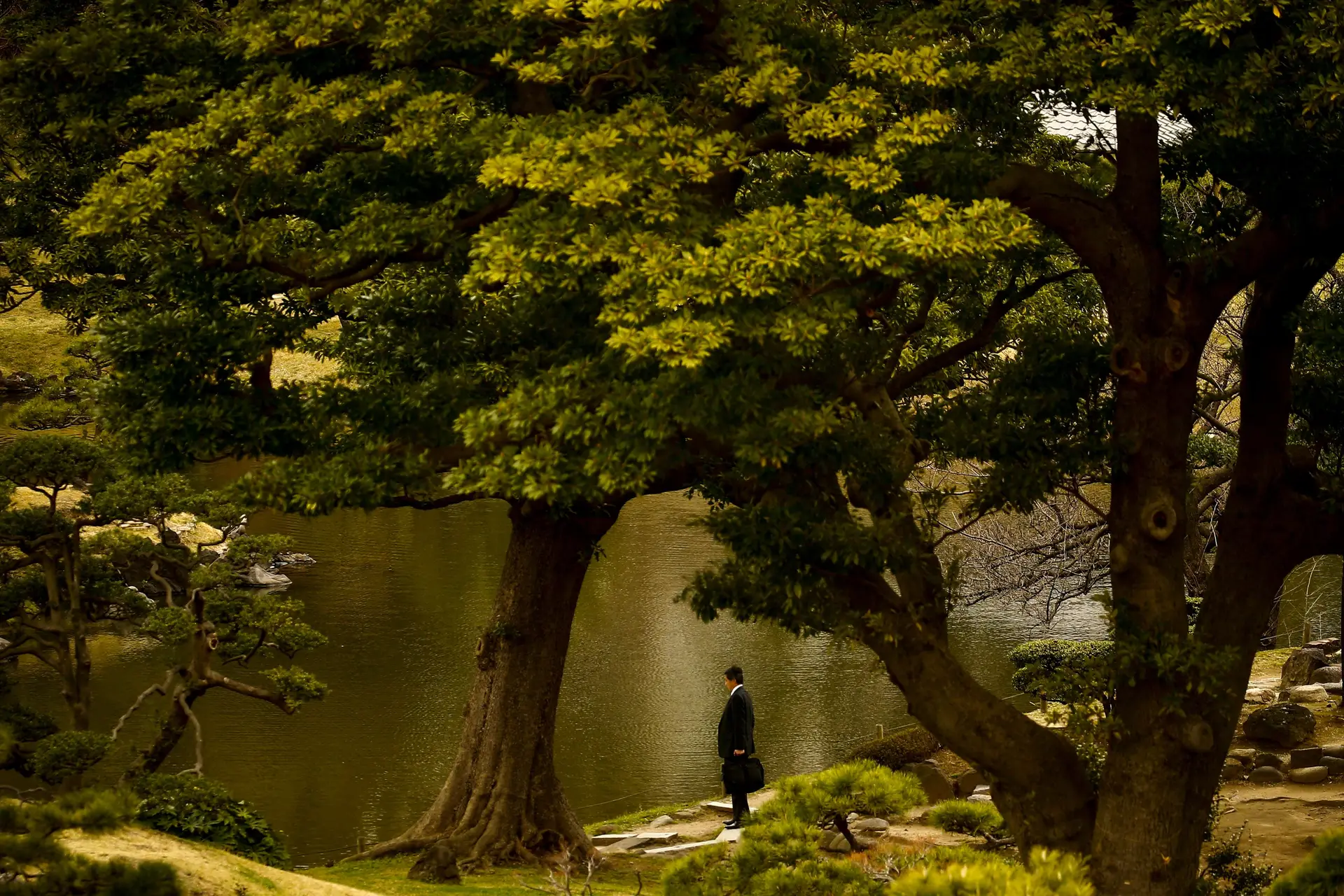 Tóquio, Japão - Num dia de sol em Março, um empresário observa o lago do jardim Kyu-Shiba-rikyu.