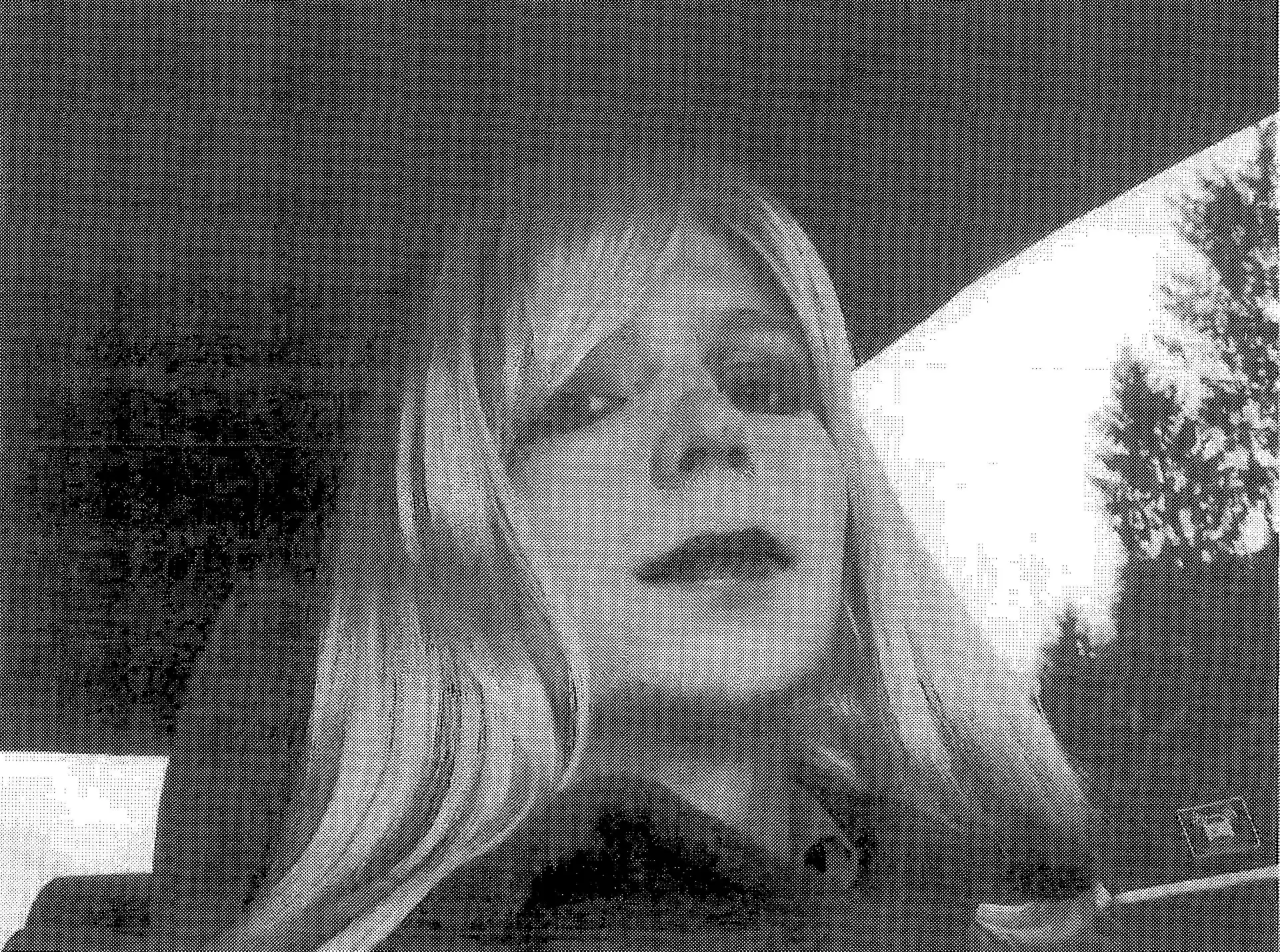 Wikileaks reivindica vitória após Obama diminuir pena de Chelsea Manning