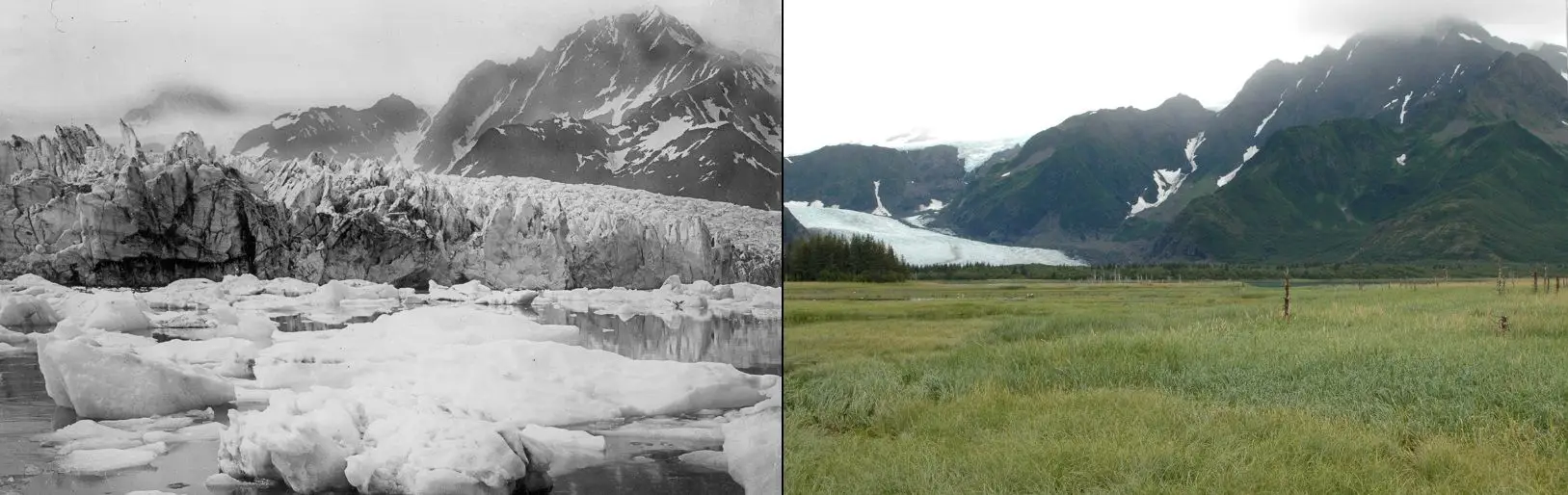 Glaciar Pedersen, Alasca, Estados Unidos da América | Antes: entre 1920 e 1940 | Depois: agosto de 2005