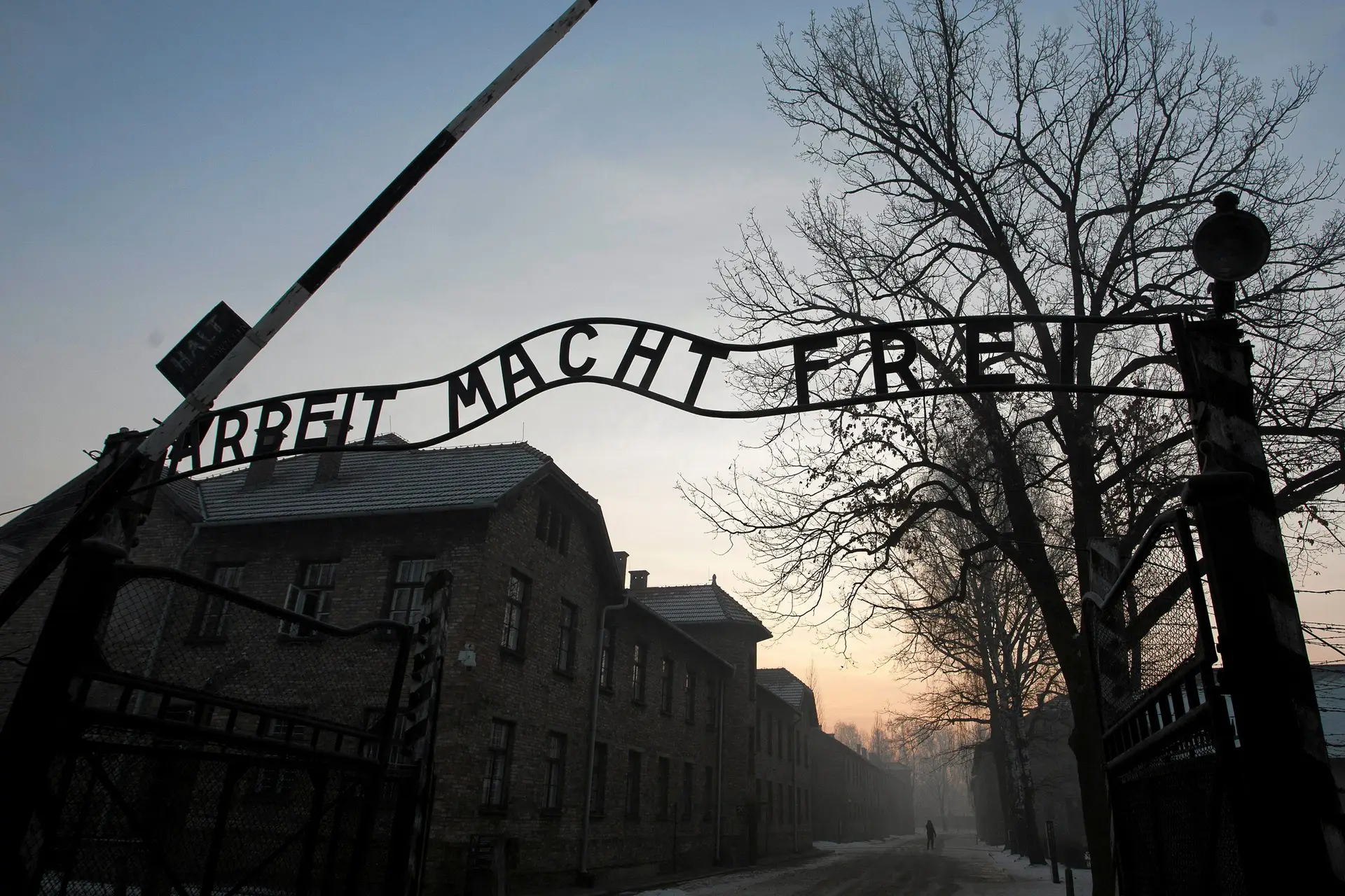 Nus e acorrentados em frente a Auschwitz - SIC Notícias