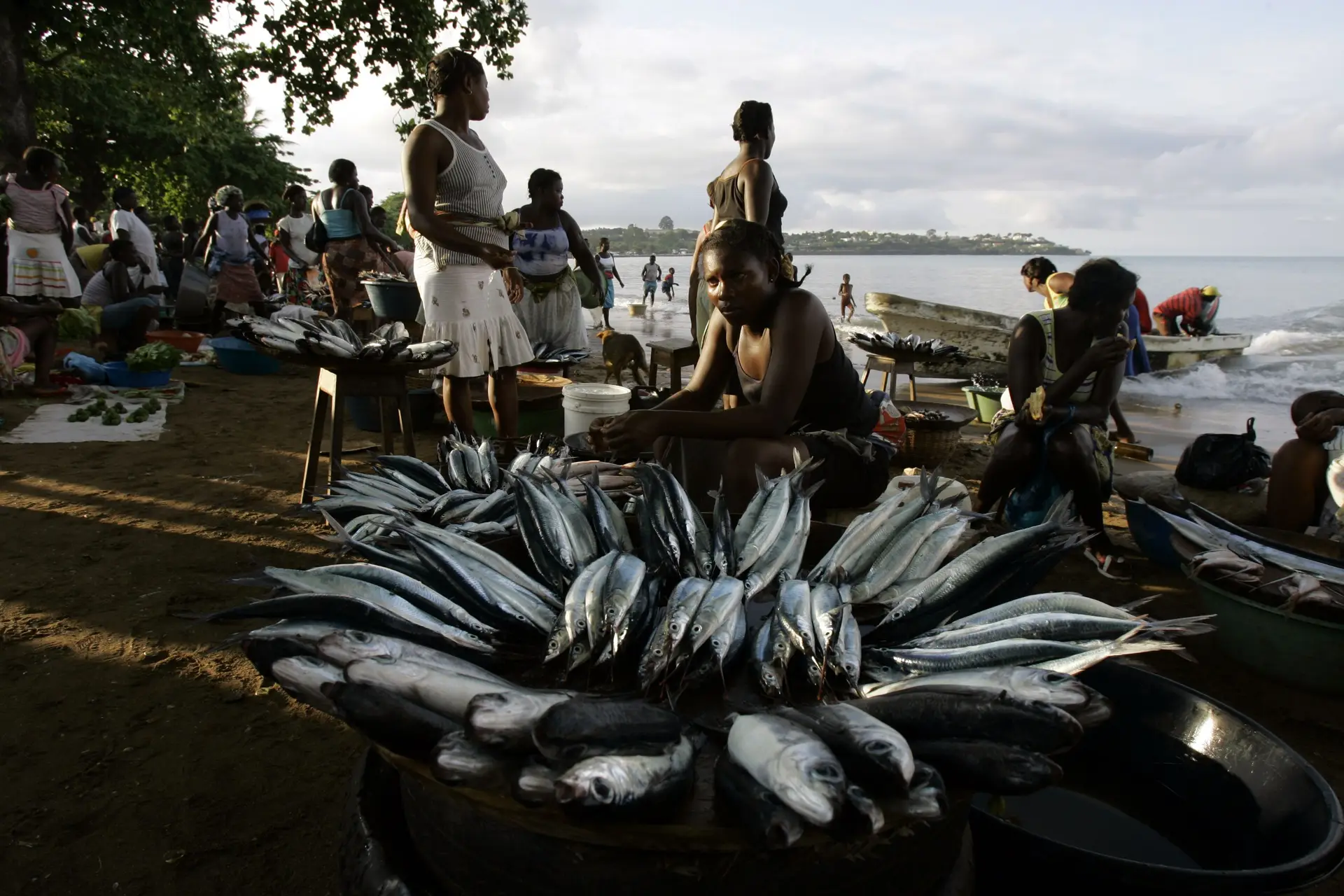 Doença de origem desconhecida afeta milhares de pessoas em São Tomé