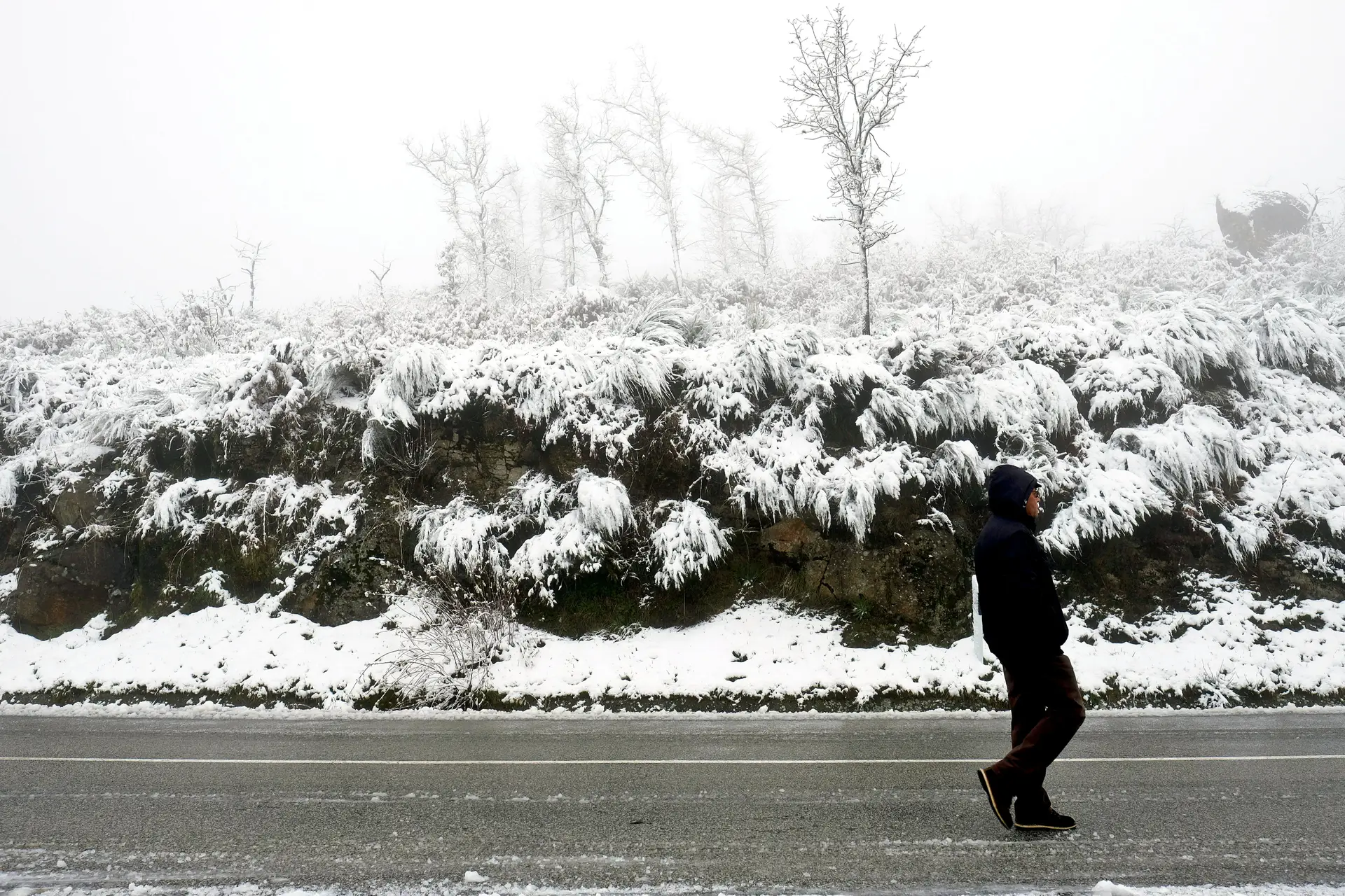 Neve provoca constrangimentos no IP4 e A24 na zona de Vila Real