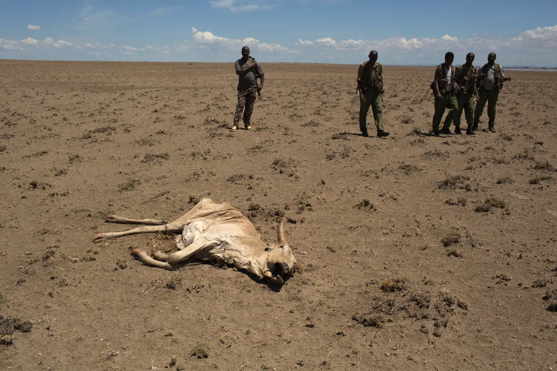Milhões de pessoas em risco de fome devido a seca e conflitos em África
