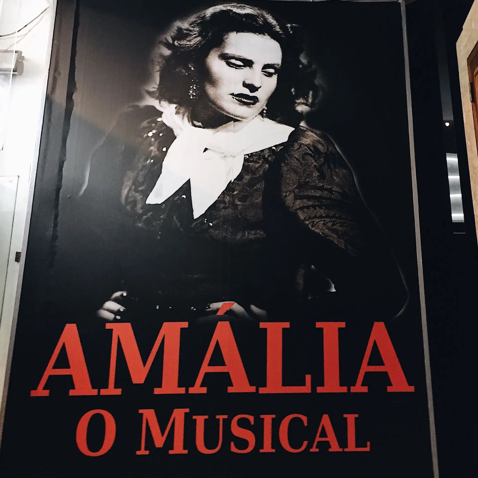 Em 1998, Amália Rodrigues manifestou o desejo de ver a sua vida transformada num musical, conta Filipe La Féria. Estreou um ano depois no Casino do Funchal.