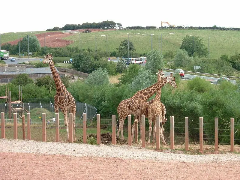 "South Lakes Safari Zoo"