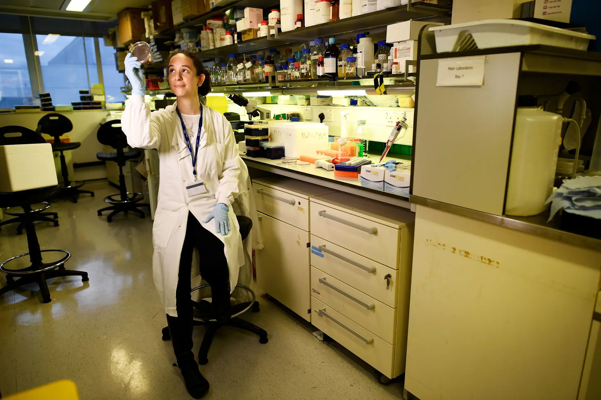 Investigadoras britânicas propõem nova forma de luta contra Alzheimer