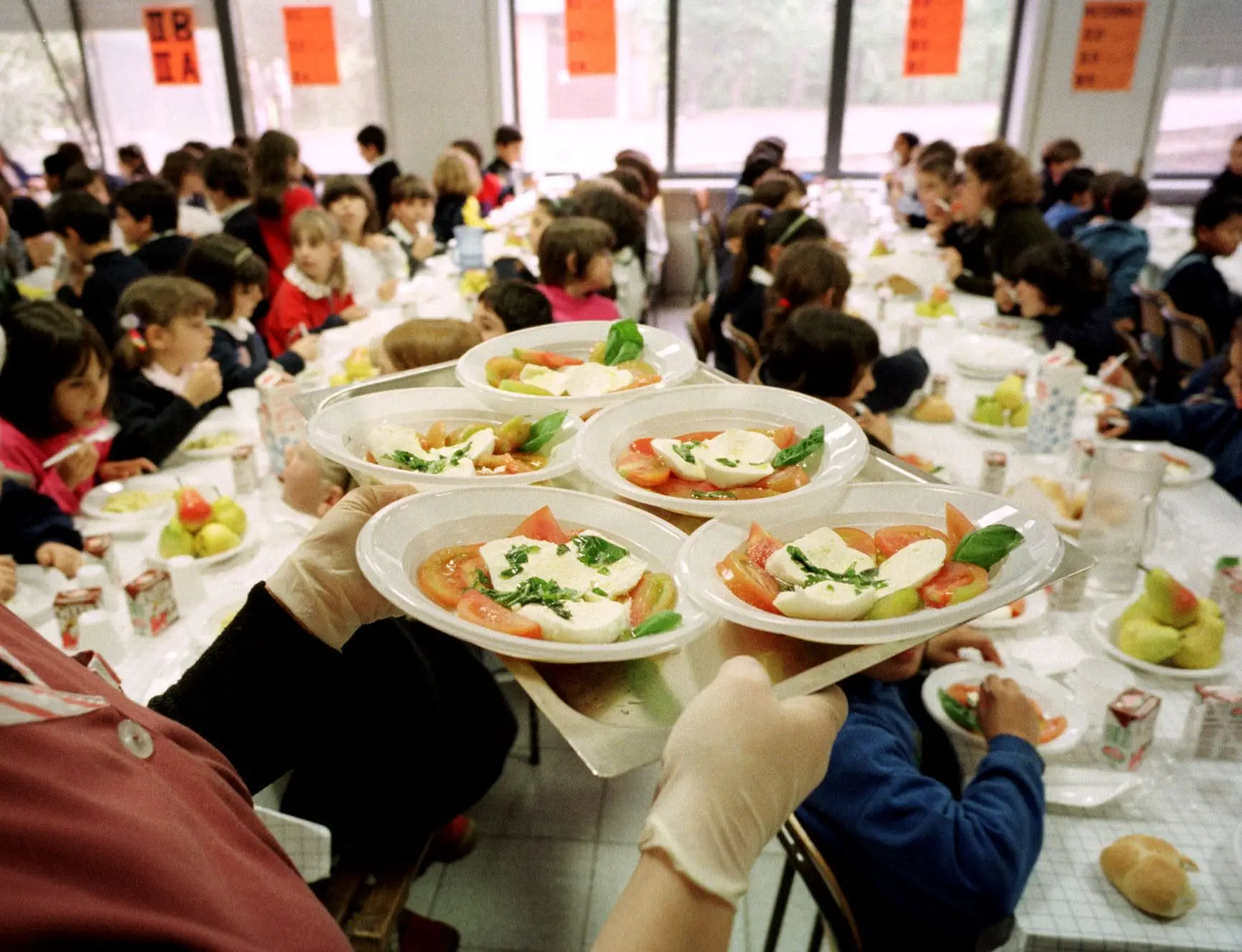 Menu vegetariano nas cantinas públicas aprovado no Parlamento