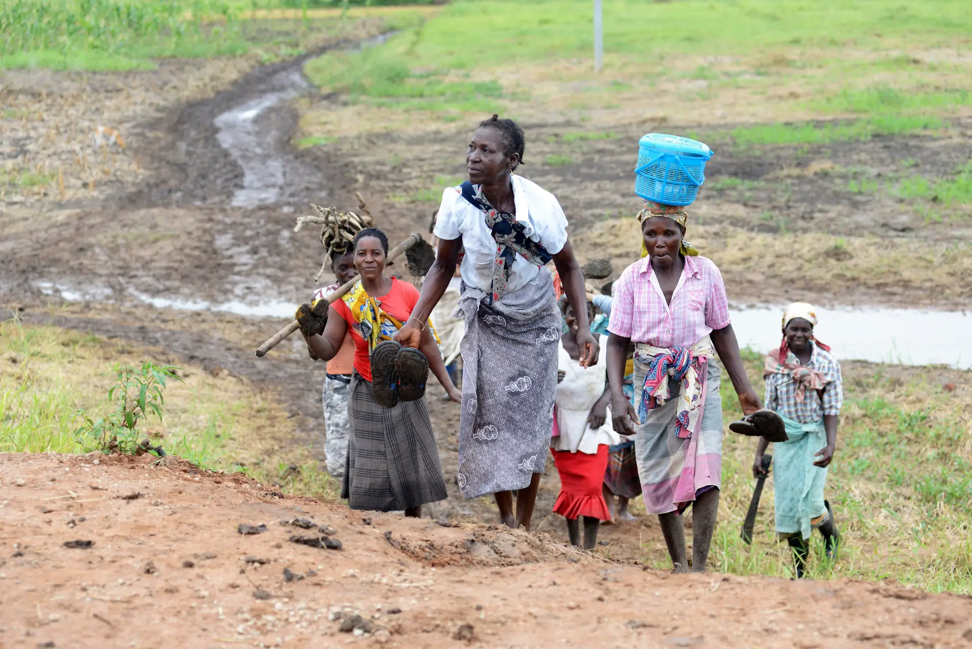Entre inundações, seca e praga de gafanhotos, há 2,1 milhões em risco de fome em Moçambique