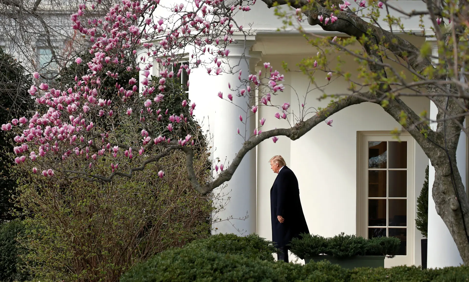 Trump quer que Congresso investigue alegadas escutas por ordem de Obama