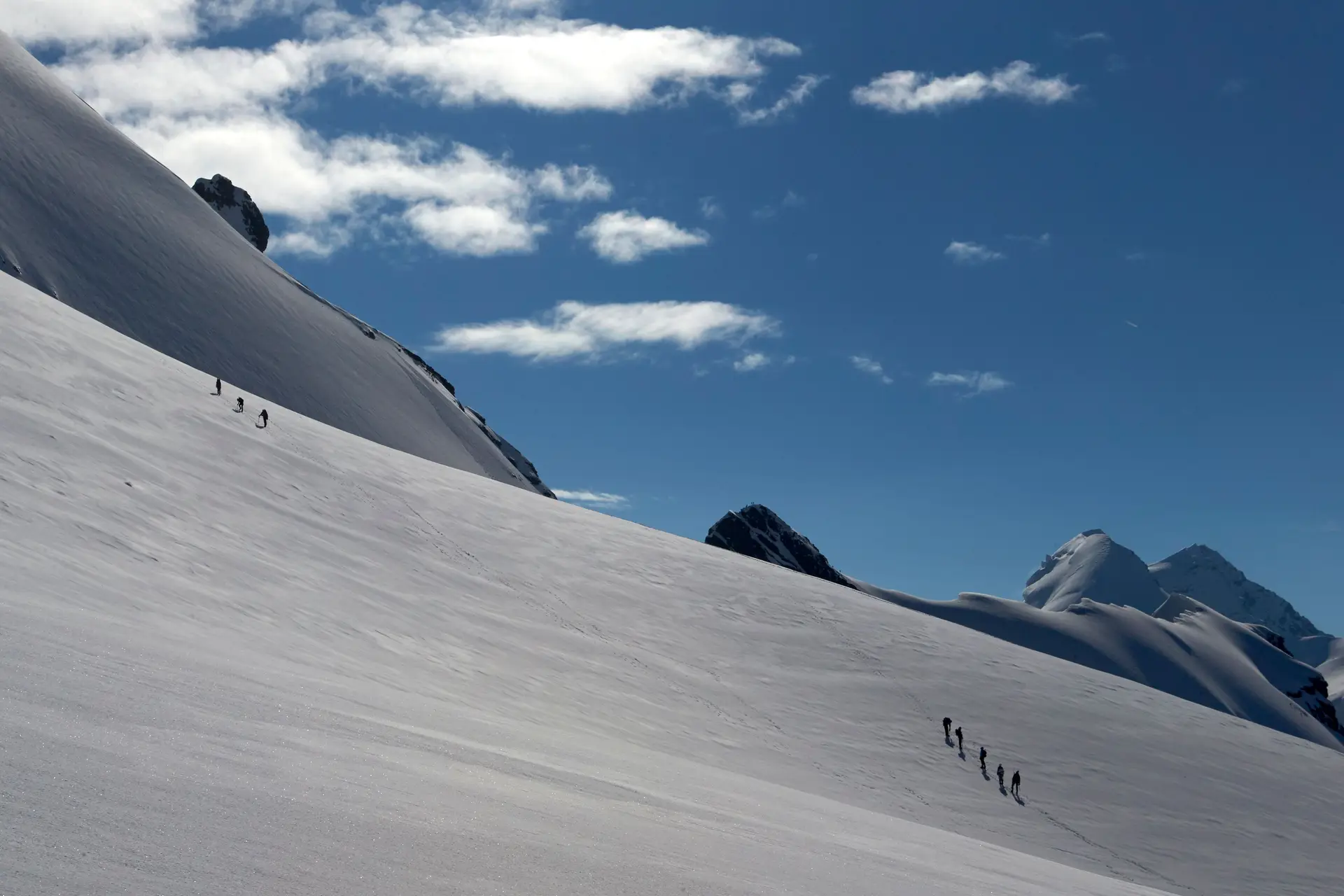 Glaciares italianos podem desaparecer nas próximas décadas