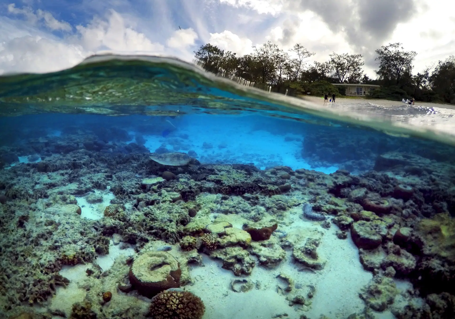 Reduzir o aquecimento global é a única forma de salvar a Grande Barreira de Coral 