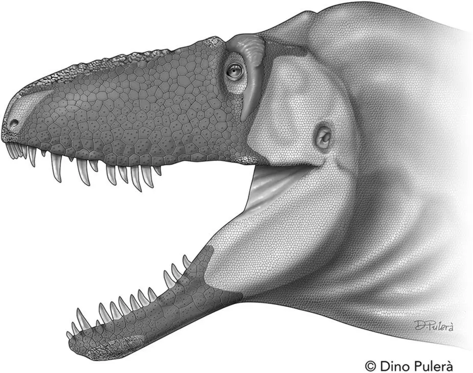 Descoberta nova espécie de tiranossauro