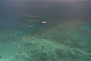 A barreira de Coral australiana é a mais ameaçada e corre o risco de extinção