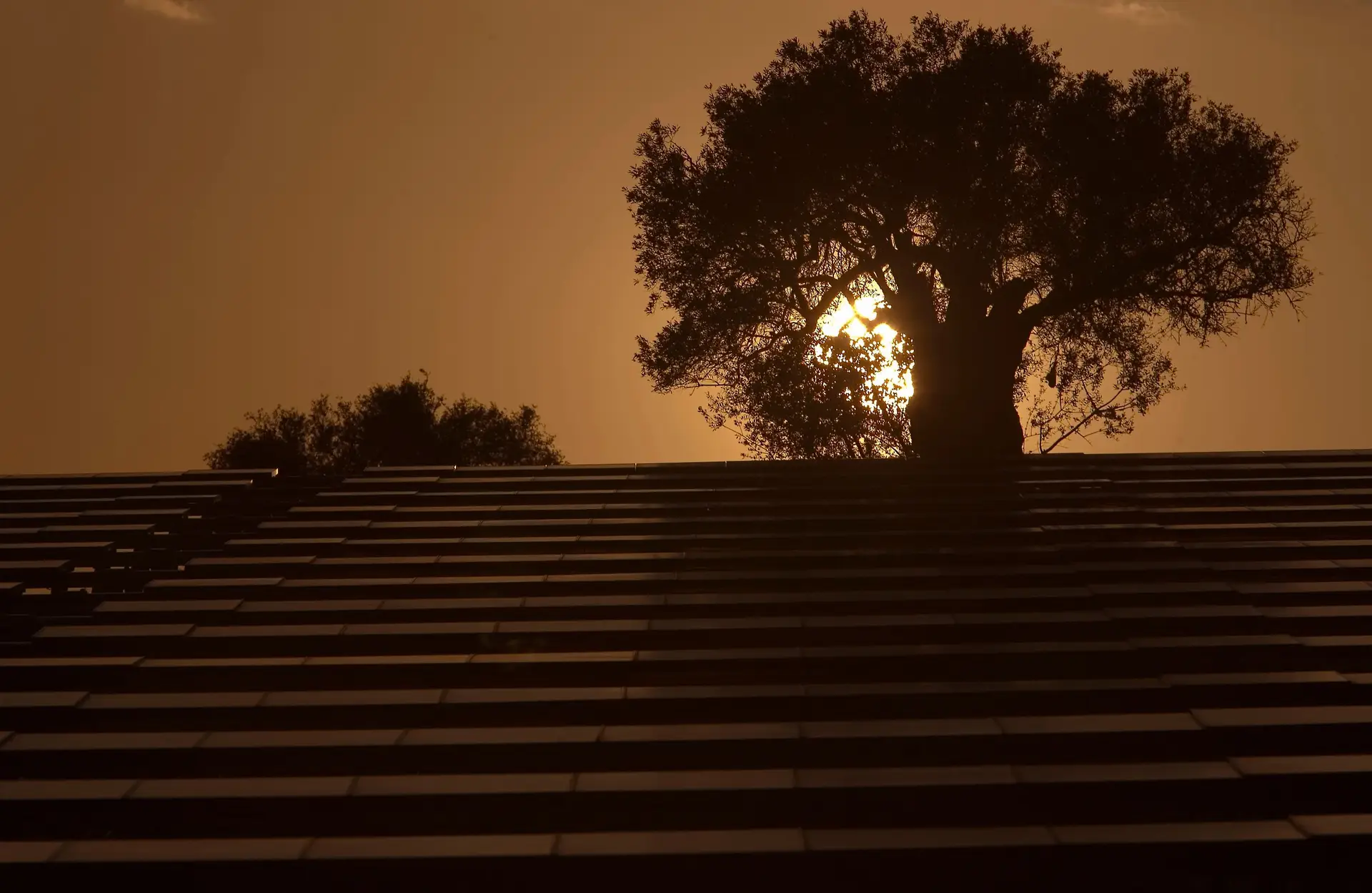 Todo o país com níveis elevados ou muito elevados de exposição à radiação UV