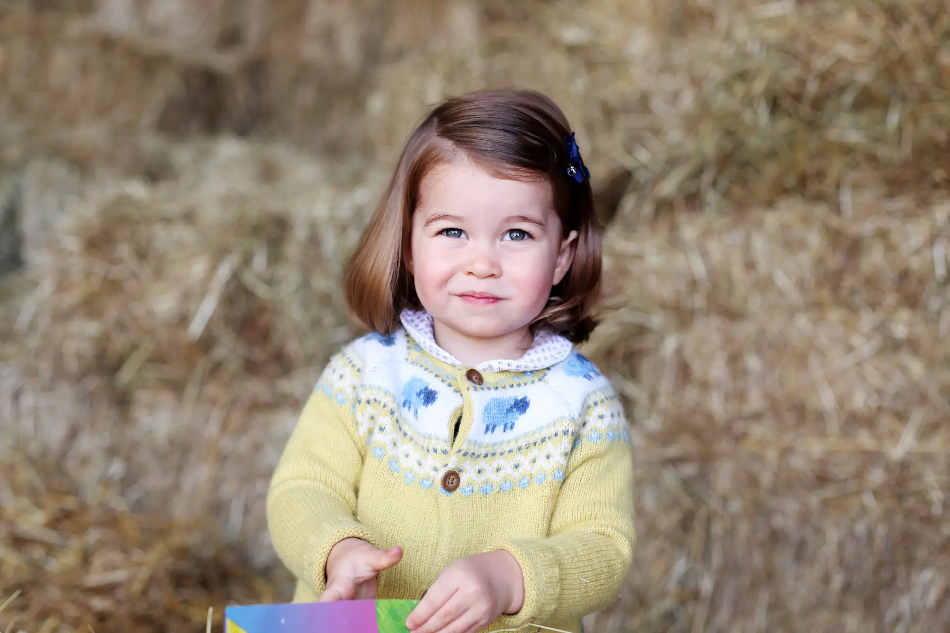 Dois anos de Princesa Charlotte em fotos