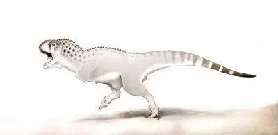 Descoberta nova espécie de dinossauro com braços minúsculos como o