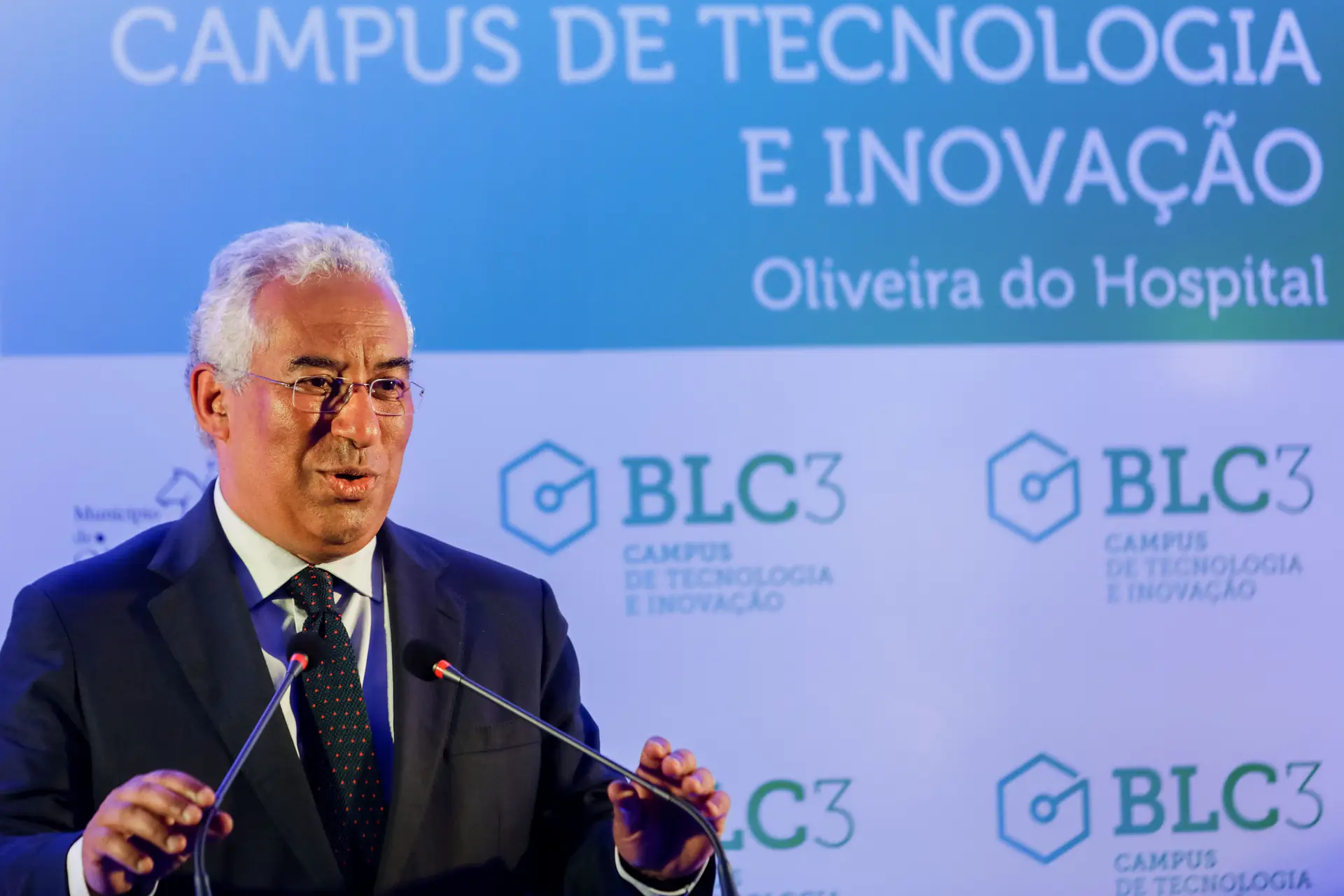 "A floresta não é um problema, mas sim uma oportunidade"