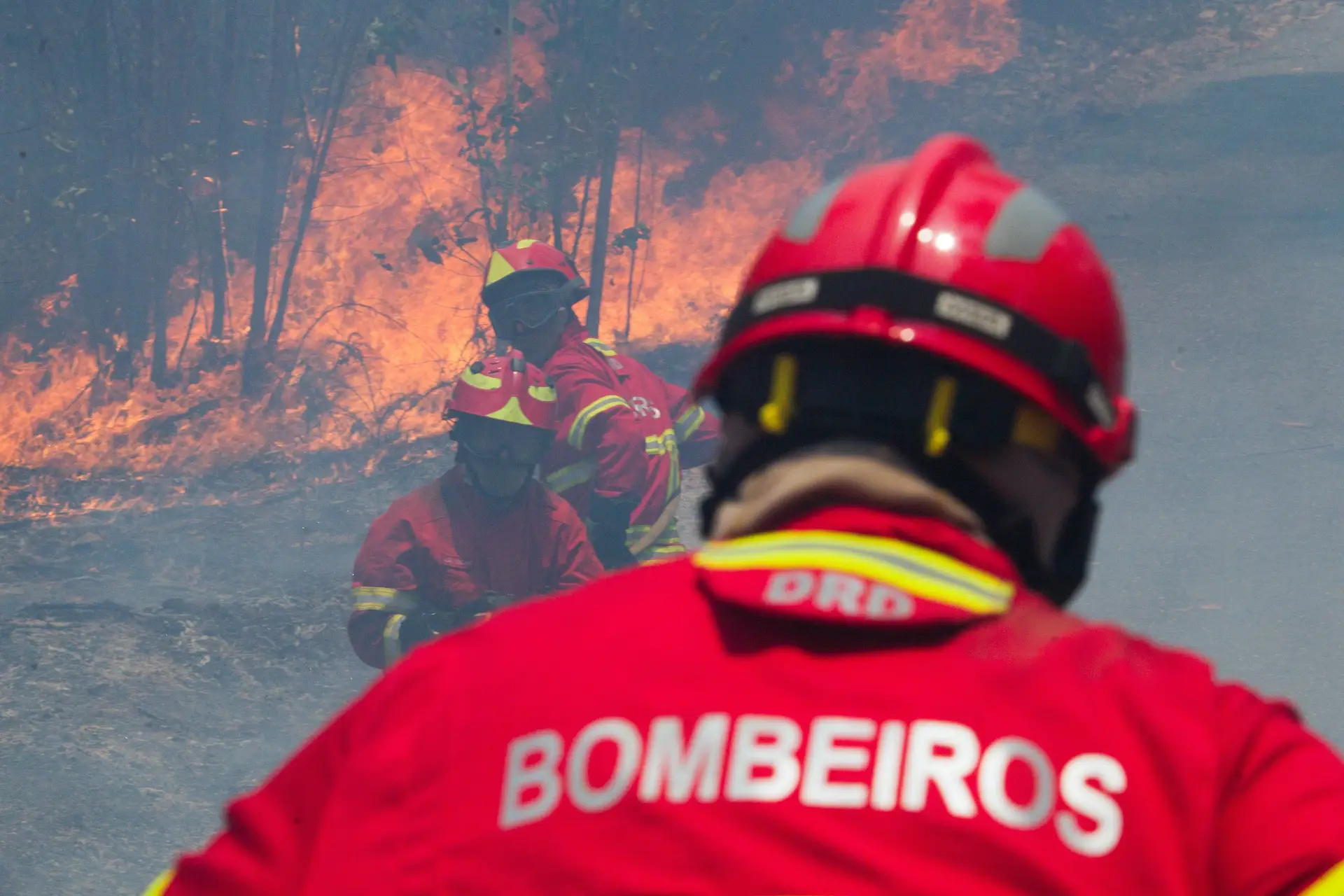 DGS avisa que leite não é antídoto do monóxido de carbono libertado pelo fogo