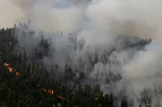 O que fazer em caso de inalação de fumos