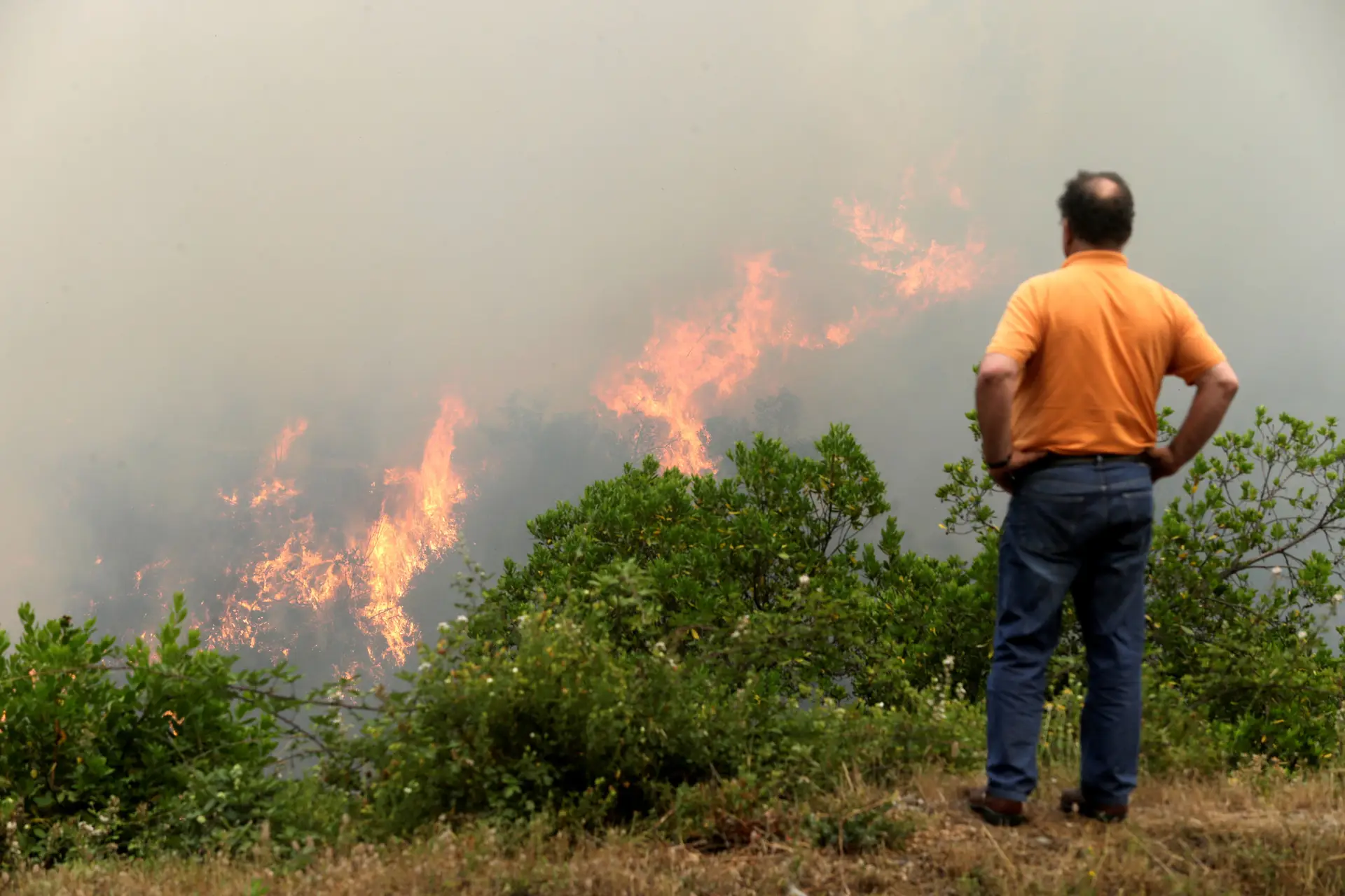 Incêndio de Pedrógão Grande continua ativo