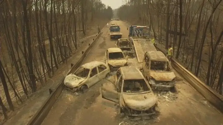EDP pode vir a ser responsabilizada pelo fogo de Pedrógão Grande