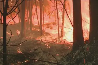 A tragédia de Pedrógão Grande