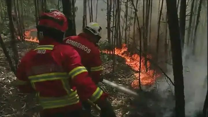 Fogo Em Cernache Do Bonjardim Continua A Lavrar Sic Noticias