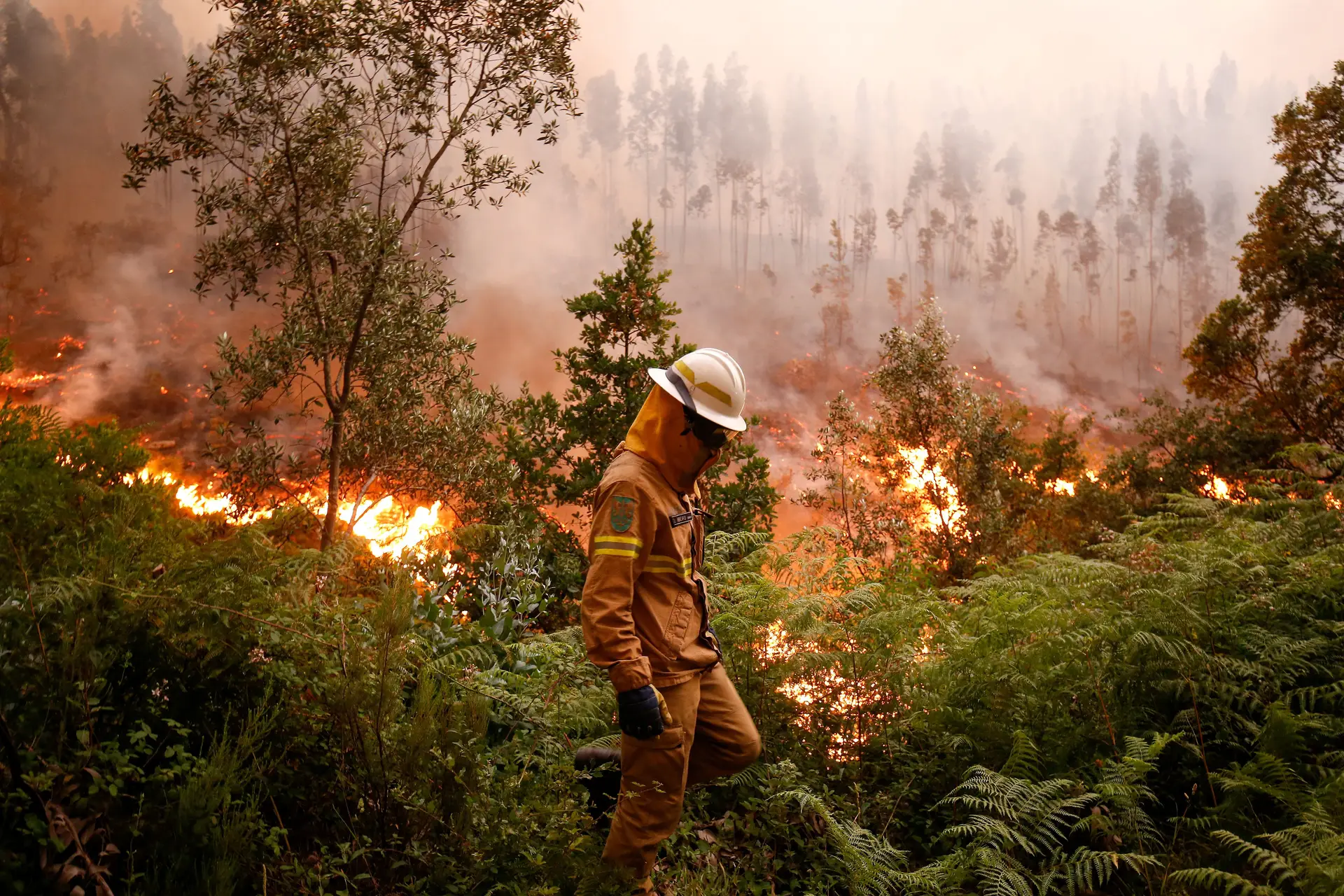 Mais de 2.150 operacionais combatem 6 grandes fogos na região Centro