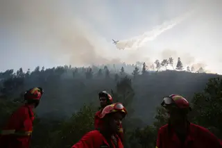 Tribunal de Contas conclui que maioria das câmaras não cumpre planos contra incêndios