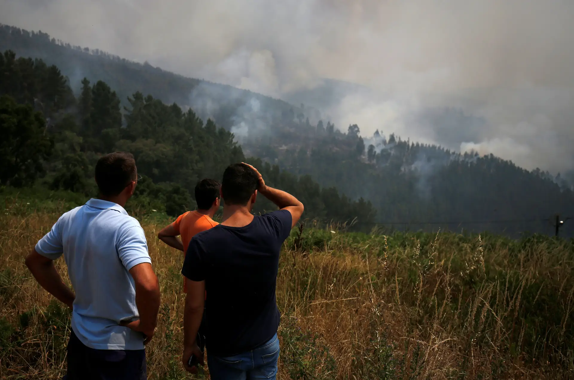 Ministro garante que agricultores afetados pelos fogos estão a ser ajudados