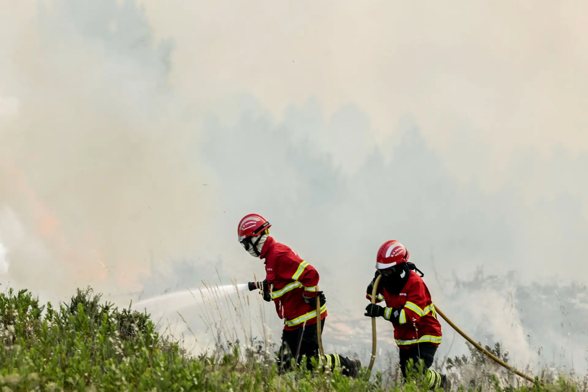 Fogo em Miranda do Corvo dominado