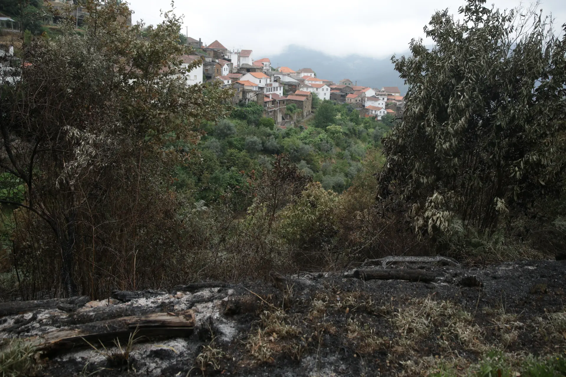 Bombeiros da Extremadura espanhola reforçam combate a incêndio em Góis