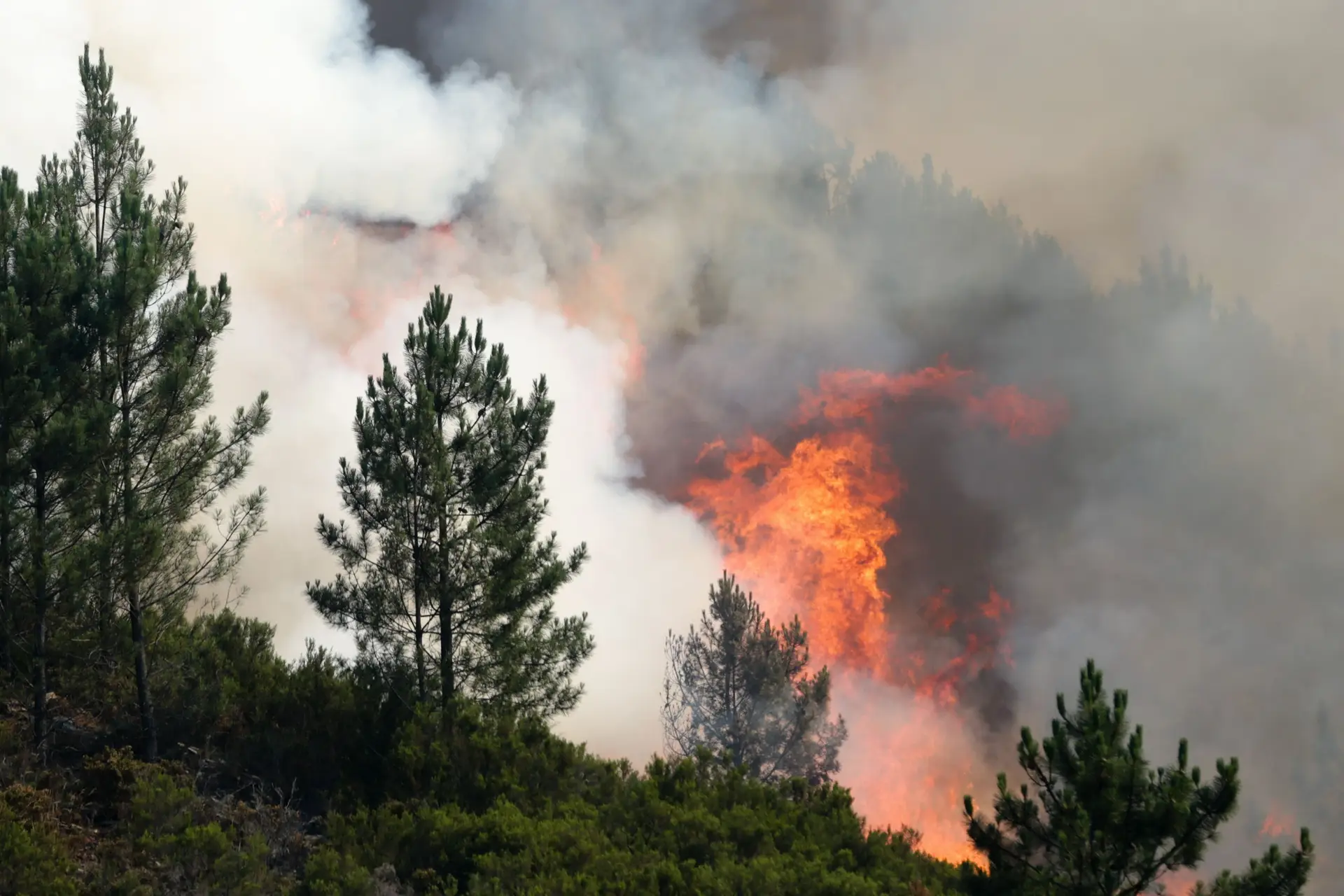 Doze incêndios mobilizam 2.100 operacionais